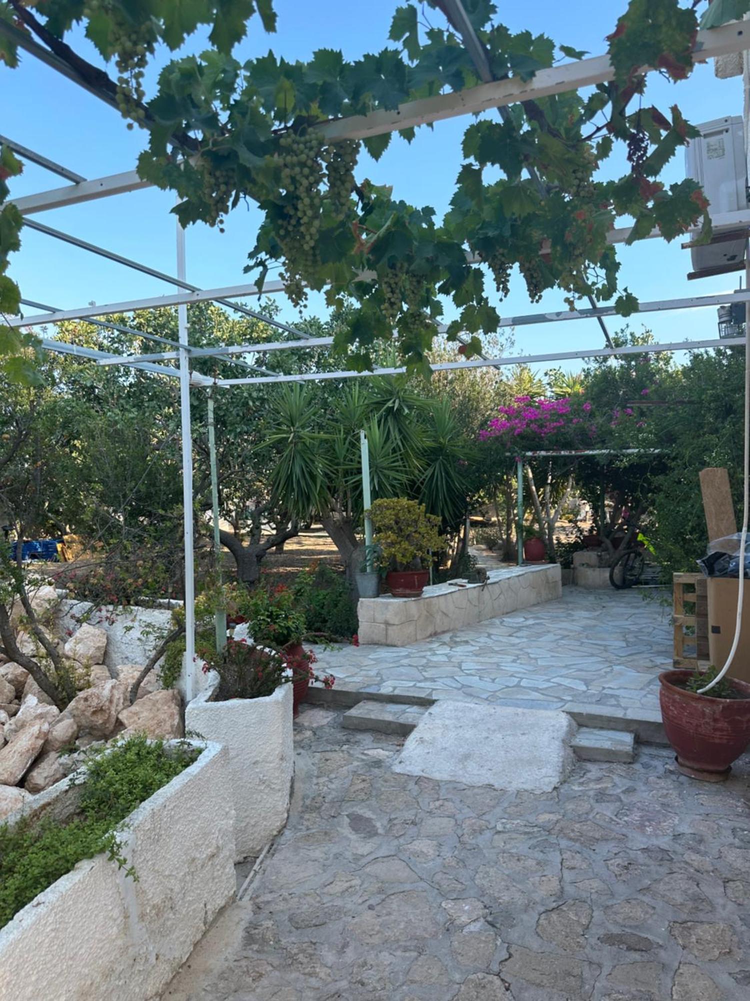 Solmar Aegina With Private Pool - Jacuzzi Apartment Khloi ภายนอก รูปภาพ